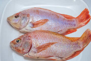 Nile tilapia (ikan nila) is widely consumed in Indonesia. Raw nile tilapias on top of a white rectangular plate.