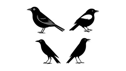 set of birds in vector, simple birds in vector black and white