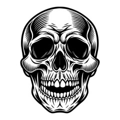 Fototapeta premium Detailed black and white human skull for halloween and gothic themed designs, with spooky and eerie macabre elements