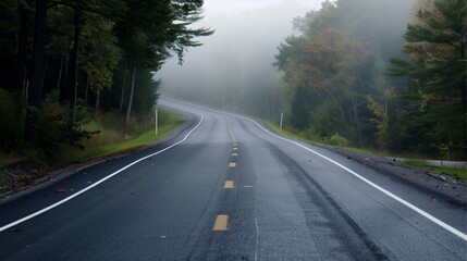 Road in green forest misty fog, mountains, hills, pine trees, woods - beautiful landscape roadway background wallpaper copyspace - Ambition, adventure, goal, progress, career path, holiday, nature