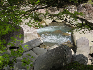 岩に囲まれた水の流れ
