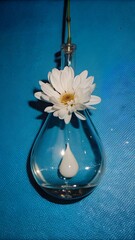 white flower in a glass