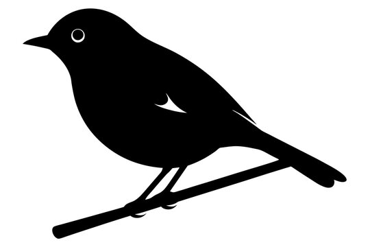 black bird perched on branch clip art preview