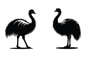 Emu bird Vector Silhouette Illustration