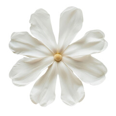 Close-up of a delicate white flower with soft petals and a yellow center, isolated on a white background.