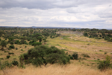  Landscape of Tarangire National Park, Tanzania, East Africa.