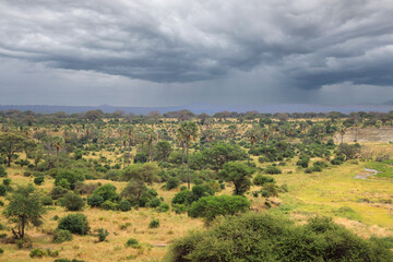  Landscape of Tarangire National Park, Tanzania, East Africa.