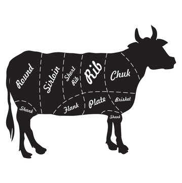 Dibujo de cortes de carne de res negra. Vector