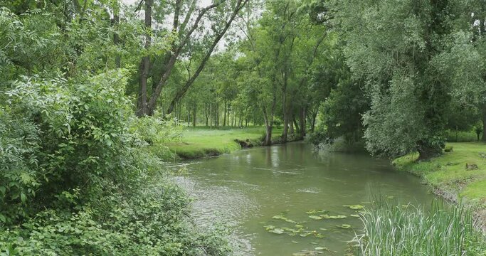 Paysage de campagne en Touraine. Contournement d'un petit bras de l'Indre au lent d&eacute;bit, s'&eacute;coulant entre v&eacute;g&eacute;tations denses et prairies verdoyantes