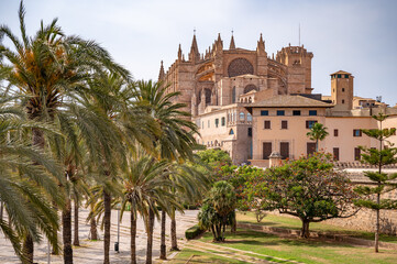 Fototapeta premium La Seu Cathedral Santa Maria of Palma, Majorca view from the distance with palm tree avenue in front, horizontal shot during daylight, Mallorca