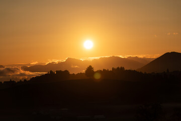 Golden sunrise over lonely iconic tree on hill in agricultural village at Switzerland
