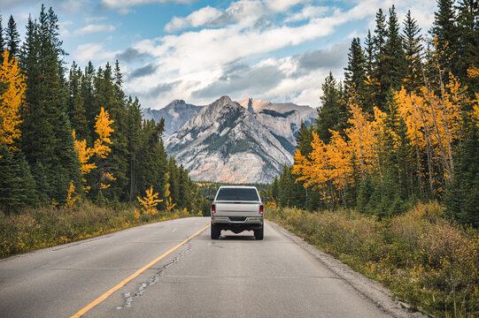 Pickup truck driving on highway in autumn forest and rocky mountains at Banff national park, Canada