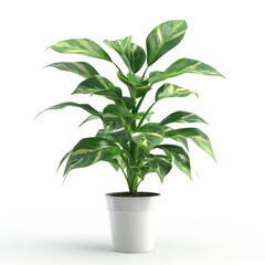 3D model of a potted plant, isolated on a white background, suitable for home decor and environmental studies.