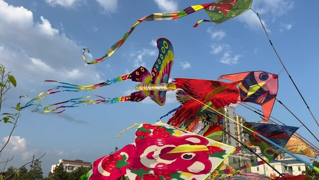 kite Video of many kites flying and a pink butterfly kite on the sky over the beach of Pinarella di Cervia. Kites festival