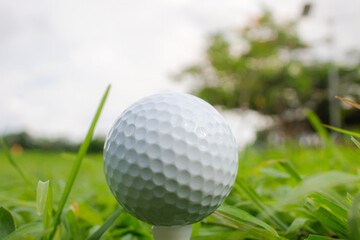 A golf ball is set on a tee in the grass and is hit with the head of a golf club.