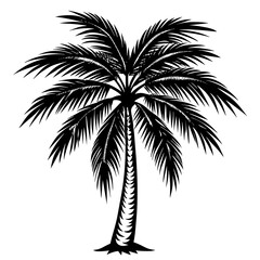 palm tree silhouette