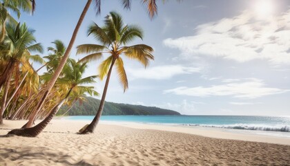 iconic beach views with palm trees in foreground