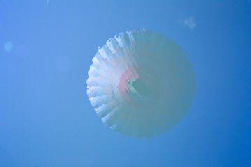 Reflection of a hot air balloon on a blue lake.