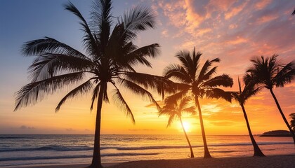 beautiful colorful sunset on tropical ocean beach with coconut palm trees silhouettes