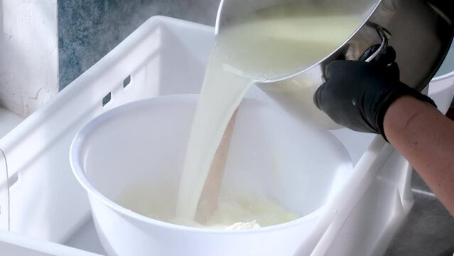 Pour hot raw milk into basin preparing cottage cheese fermented milk products home conditions frequency. neatness