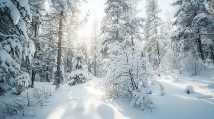 Winter landscape with trees background