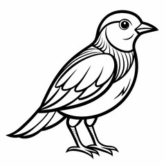 bird on a branch