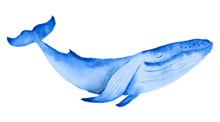 Obraz premium Watercolor happy whale blue and turquoise isolated on white background