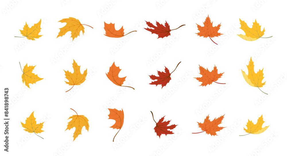 Wall mural falling leaves vector set. Autumn forest maple leaf. vector illustration isolated on white background.