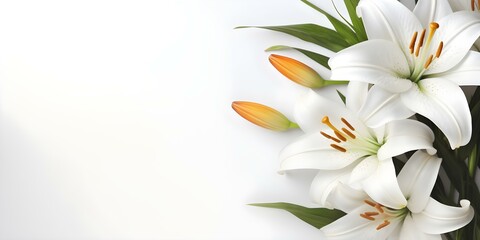 Obraz premium White background with lily ample space for text on funeral program. Concept Funeral Program Design, Lily Theme, White Background, Space for Text