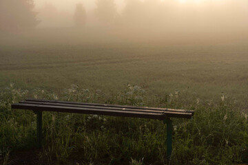 landscape from a foggy morning, sunrise in the fog, blurred and blurred silhouettes of plants in...