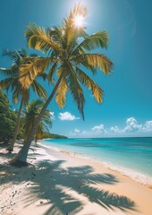 Towering sunlit palm trees on a tropical beach, symbolizing paradise. 