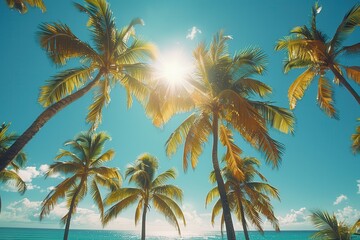 Towering sunlit palm trees on a tropical beach, symbolizing paradise. 