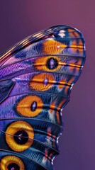 Obraz premium Close-up of vibrant butterfly wing with intricate patterns, psychedelic colors. Nature and beauty concept