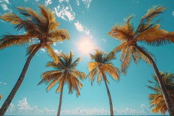 Towering sunlit palm trees on a tropical beach, symbolizing paradise. 