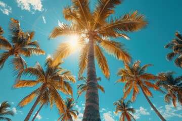 Towering sunlit palm trees on a tropical beach, symbolizing paradise. 