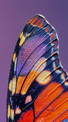 Close-up of a colorful butterfly wing with vibrant patterns, macro photography. Nature and beauty concept