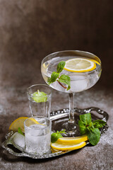Collection of various glasses on silver tray filled with fresh summer drinks with ice, lemon and mint on grunge wall background. Cocktail party