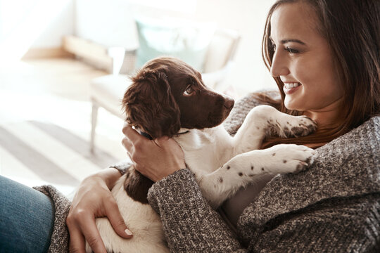 Smile, happy and woman with dog on sofa bonding with pet in living room at apartment. Relaxing, animal and female person cuddle, hug and embrace puppy with love and care on couch in lounge at home.