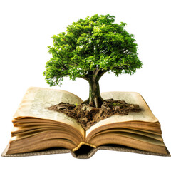A vibrant green tree growing out from an open book, symbolizing knowledge, education, and growth in an artistic and creative way. Isolated on transparent background