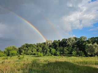 rainbow over green field,rainbow over the forest