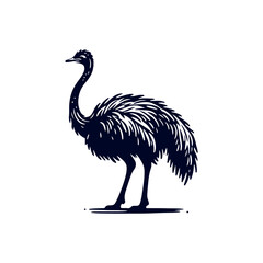 Ostrich bird silhouette Clip art isolated vector illustration on white background
