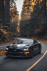 A sleek black car traverses an empty road in lush greenery and trees. Sunlight filters through the forest, illuminating the car from behind.