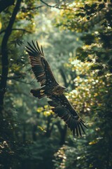 Obraz premium An Eagle Flying in a Forest