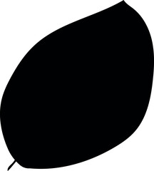 Flat isolated leaf silhouette on white background.  Tropical leaf vector illustration. Ecology.