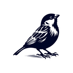 Sparrow bird silhouette Clip art isolated vector illustration on white background
