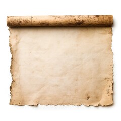 a blank piece of parchment tattered from old age with rolled sides on the left and right, white background.