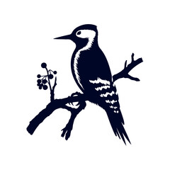 Woodpecker bird silhouette Clip art isolated vector illustration on a white background
