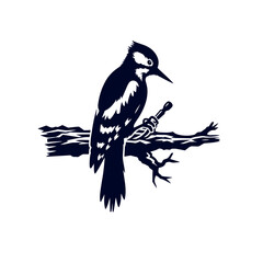 Woodpecker bird silhouette Clip art isolated vector illustration on a white background