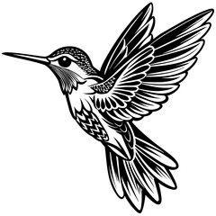 bird in flight
