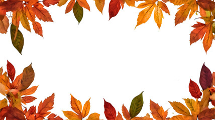 Fototapeta premium dry colorful leaves on transparent background . Autumn leaves frame. frame made of leaves. 